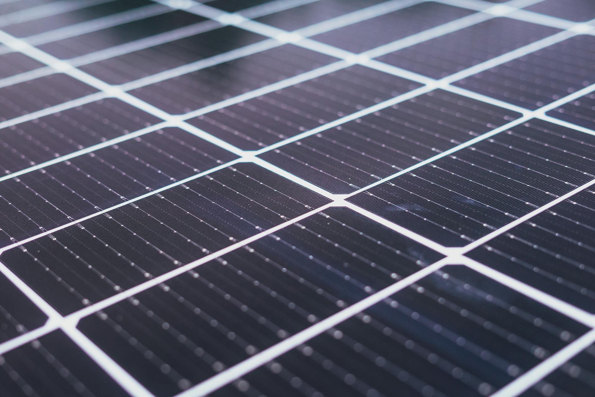 Energy, Oil & Renewable Resources